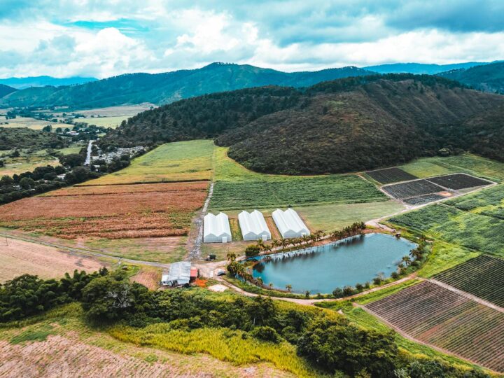 Campo di esperienza di Phnomania